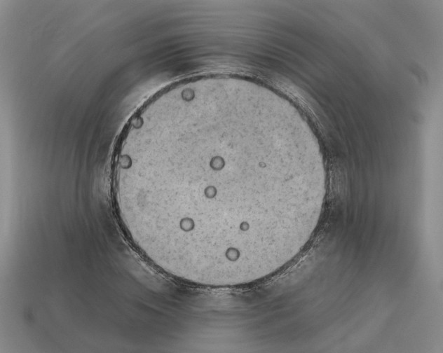 X0000112970828200909171316