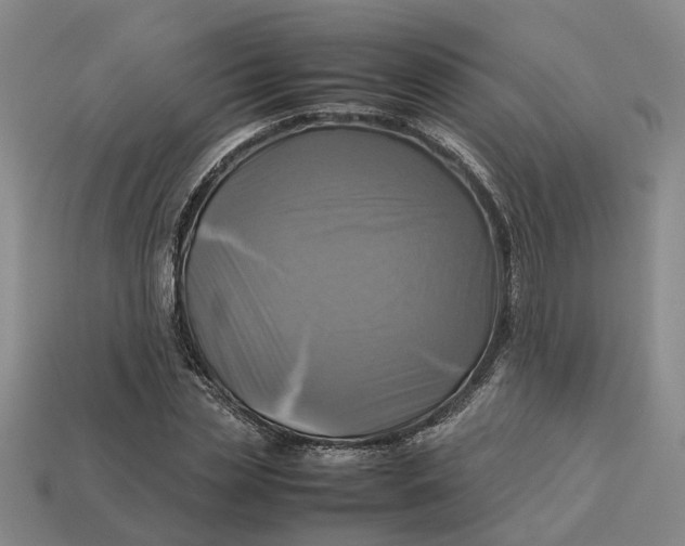 X0000112970829200909171316