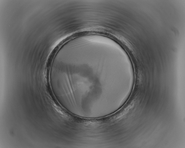 X0000112970830200909171316