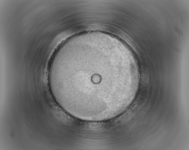 X0000112970832200909171316