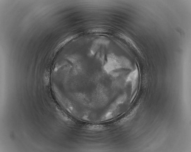 X0000112970833200909171316