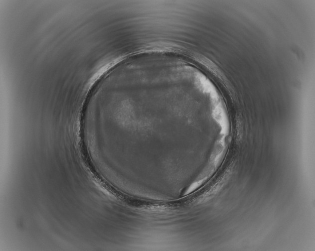 X0000112970834200909171316