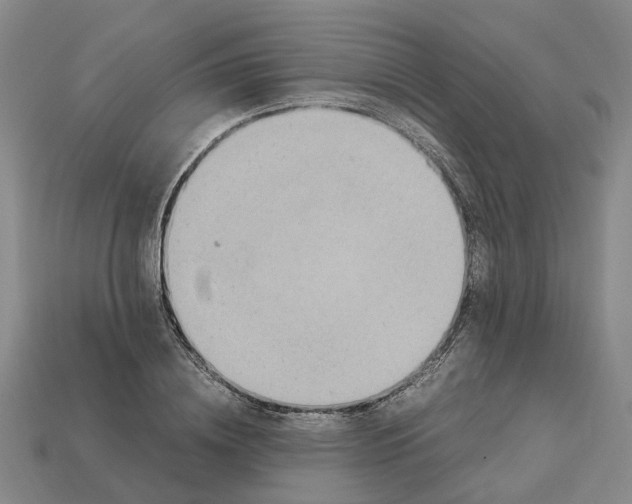 X0000112970836200909171316