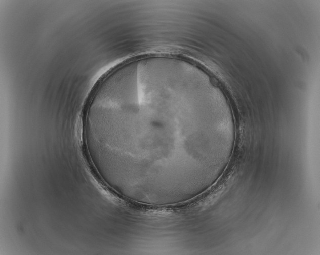 X0000112970838200909171316