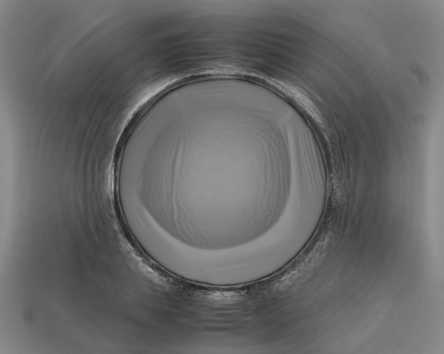 X0000112970839200909171316