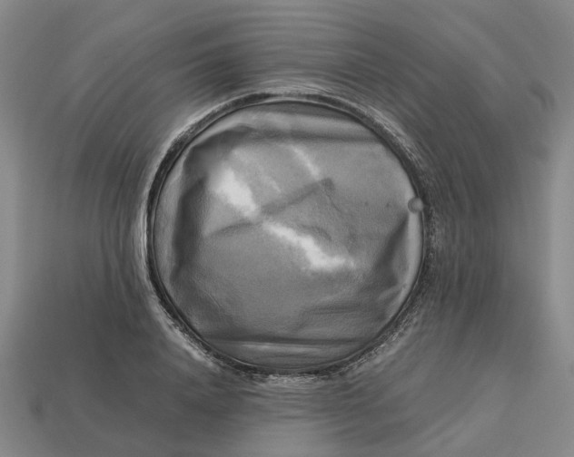 X0000112970840200909171316