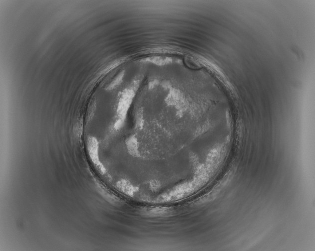 X0000112970841200909171316