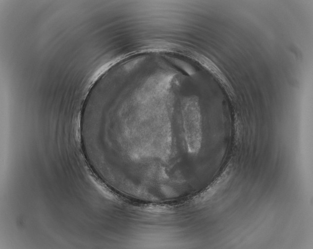 X0000112970842200909171316