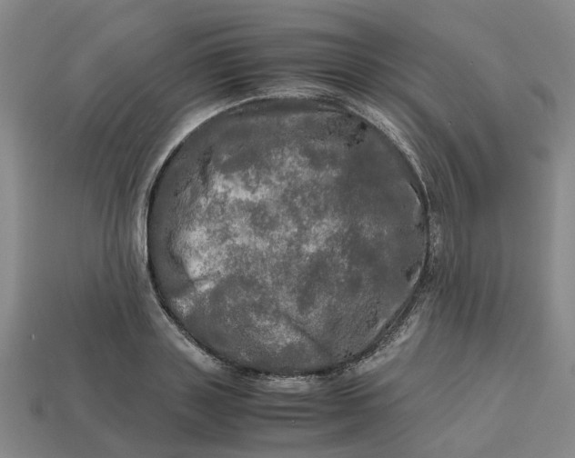 X0000112970843200909171316