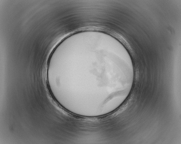 X0000112970844200909171316