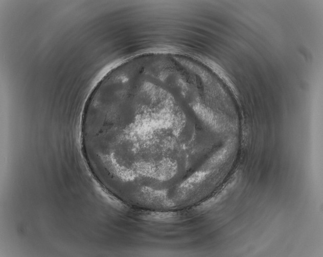 X0000112970845200909171316