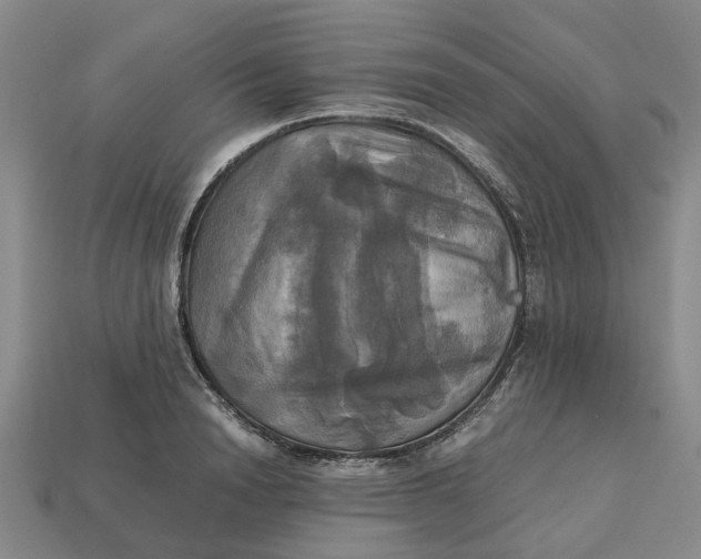 X0000112970846200909171316