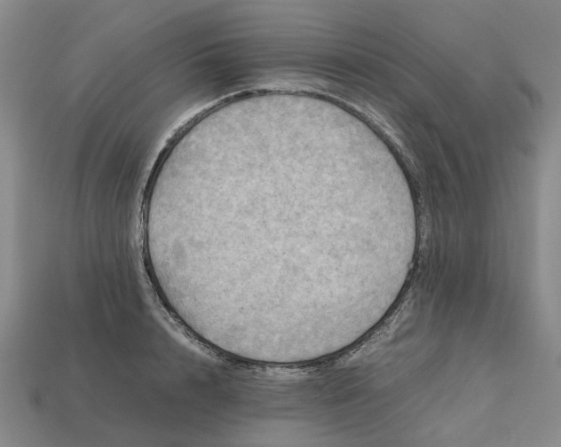 X0000112970848200909171316