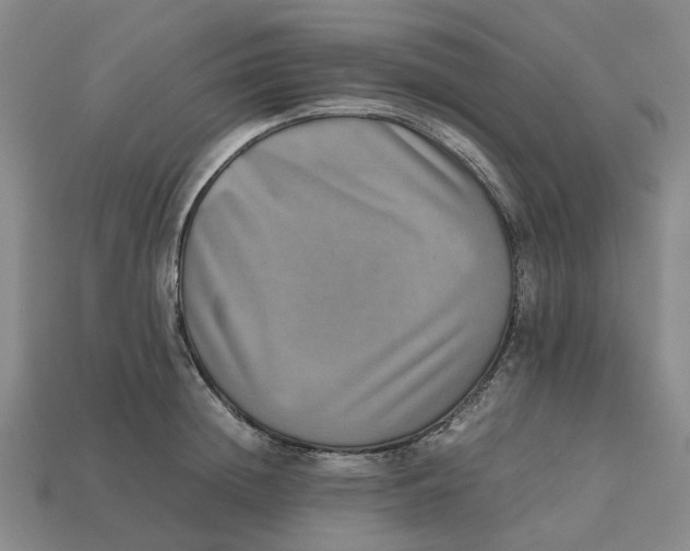 X0000112970852200909171317