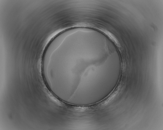 X0000112970854200909171317