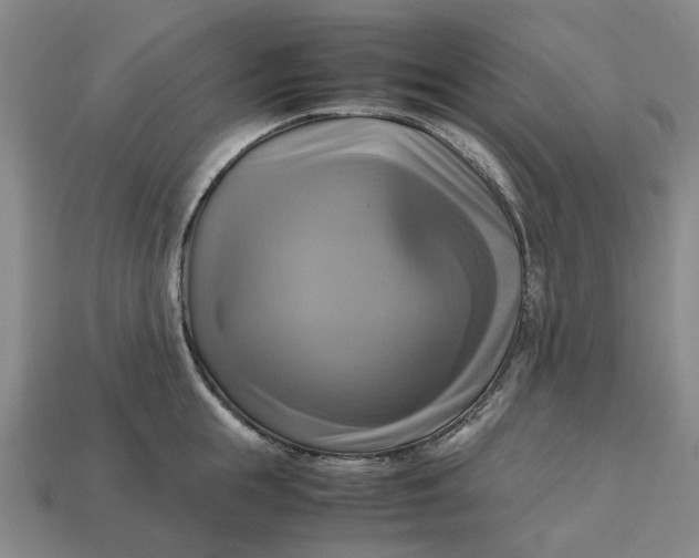 X0000112970855200909171317