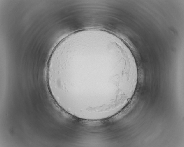 X0000112970856200909171317