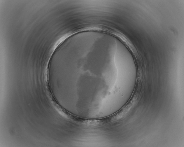 X0000112970858200909171317