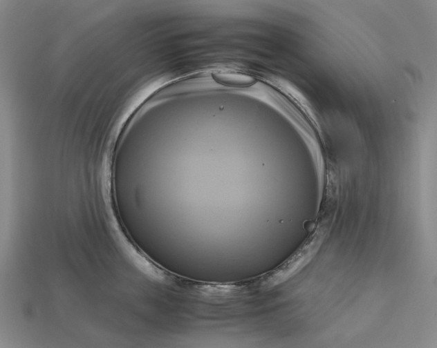 X0000112970859200909171317