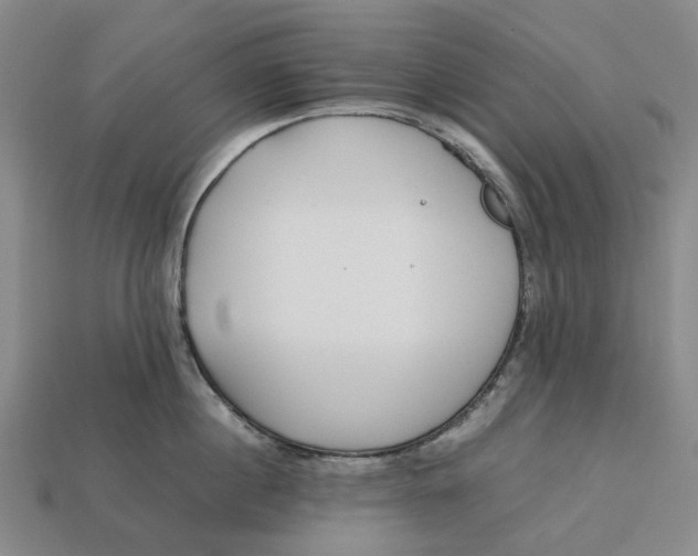 X0000112970860200909171317