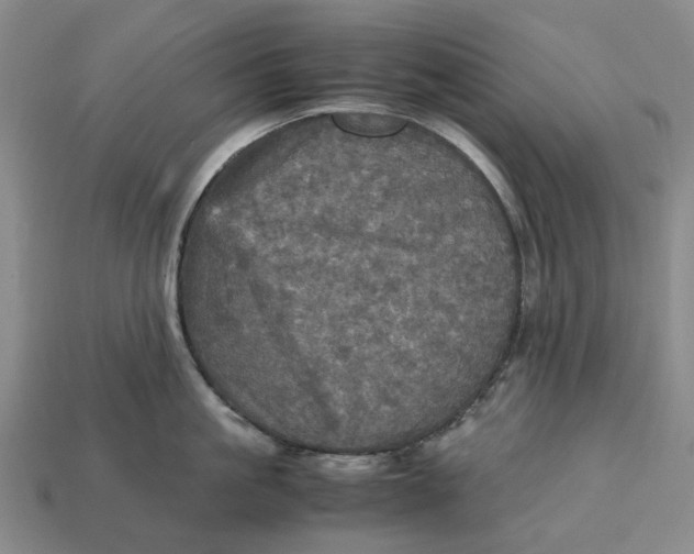 X0000112970861200909171317