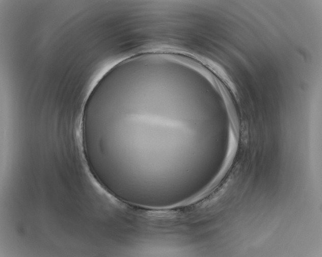 X0000112970863200909171317