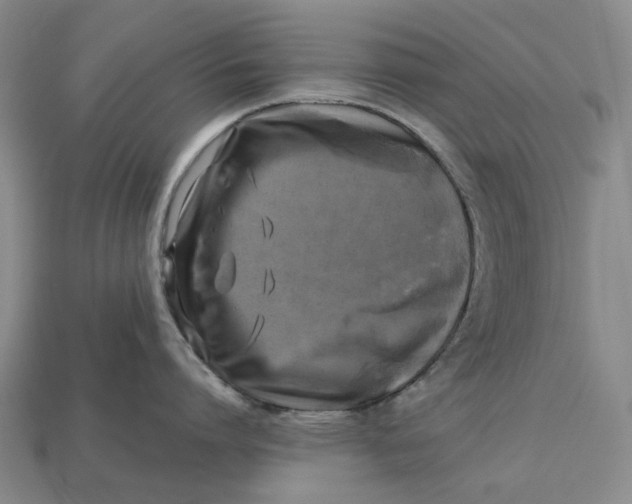 X0000112970864200909171317