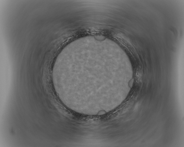 X0000112970865200909171316