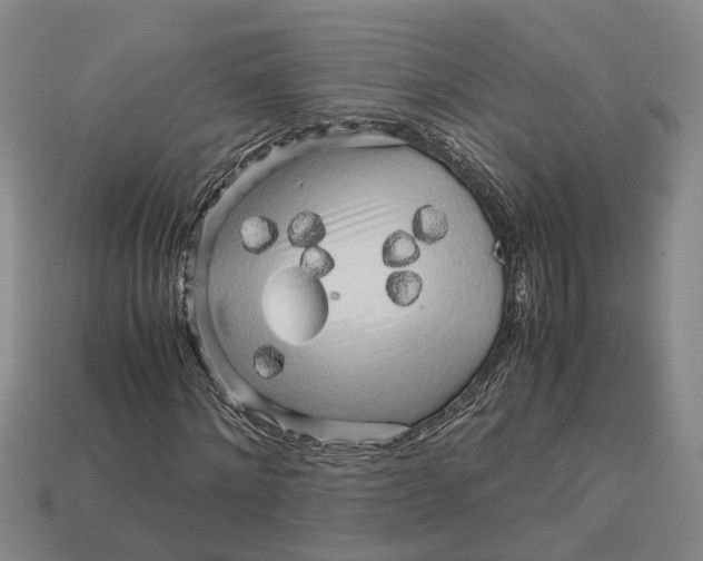 X0000112970868200909171316