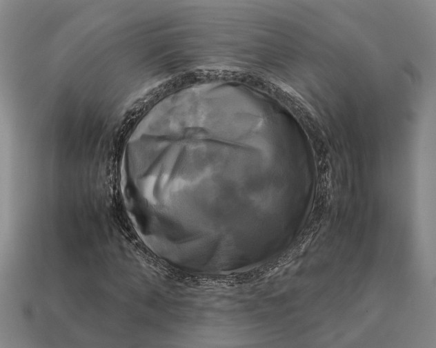 X0000112970870200909171316