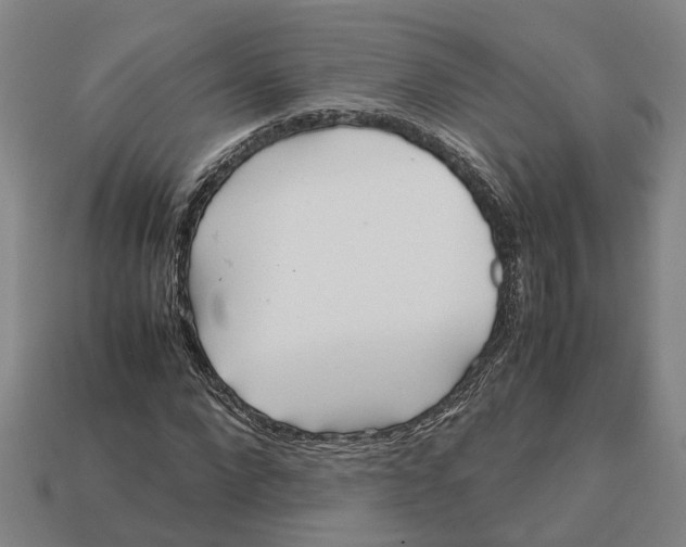 X0000112970872200909171316