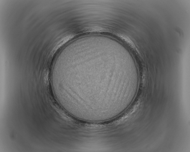 X0000112970873200909171316