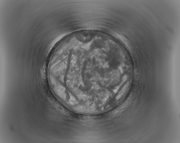 X0000112970875200909171316