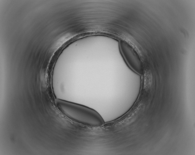 X0000112970876200909171316