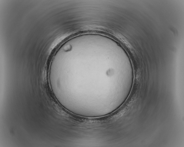 X0000112970877200909171316