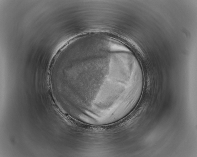 X0000112970878200909171316