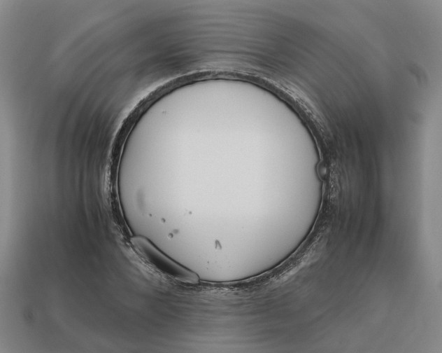 X0000112970880200909171316