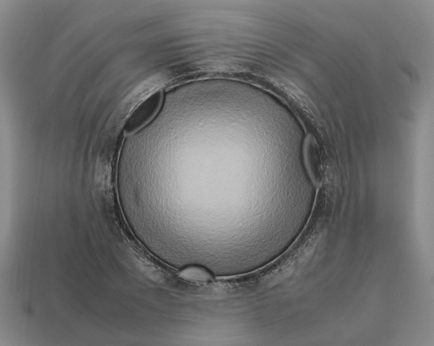 X0000112970881200909171316