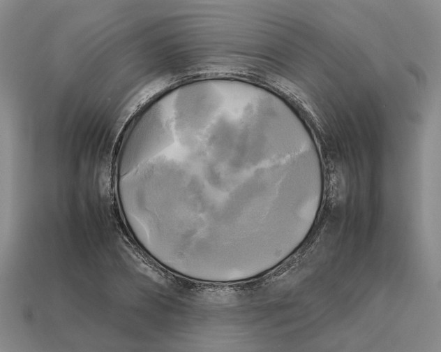 X0000112970882200909171316