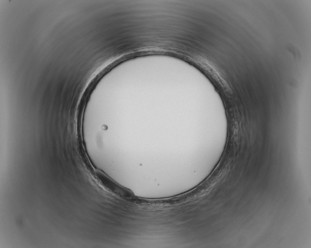 X0000112970884200909171316