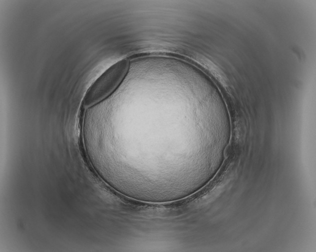 X0000112970885200909171316