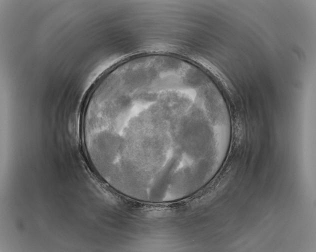 X0000112970886200909171316