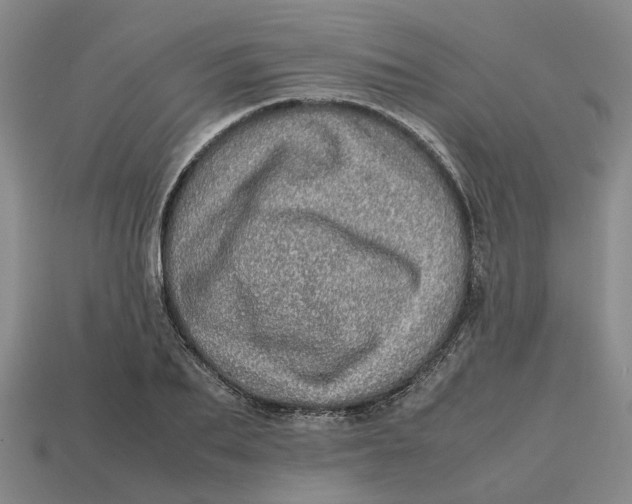 X0000112970887200909171316