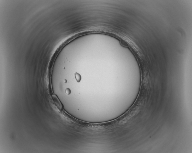 X0000112970888200909171316