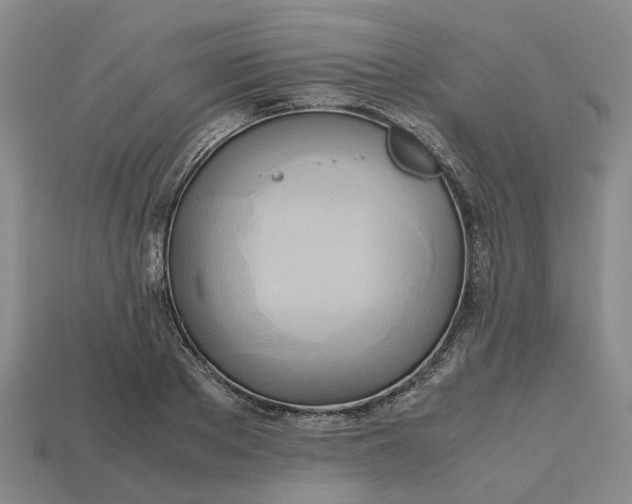 X0000112970889200909171316