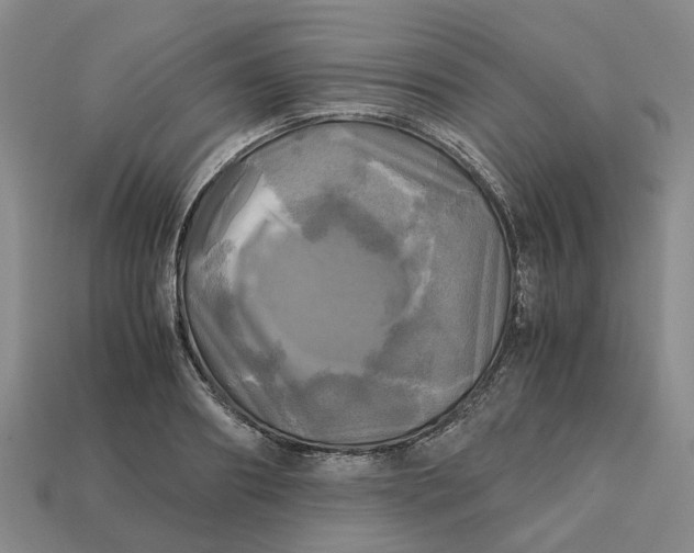 X0000112970890200909171316