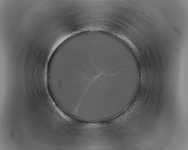 X0000112970894200909171316