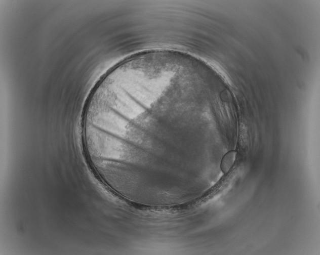 X0000112970895200909171316