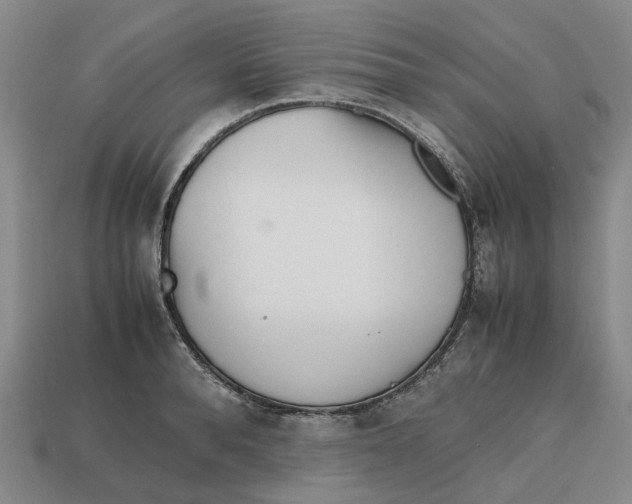 X0000112970896200909171316