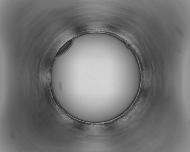 X0000112970897200909171316